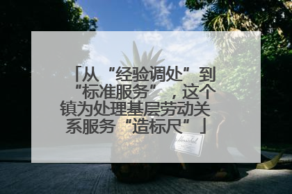 从“经验调处”到“标准服务”，这个镇为处理基层劳动关系服务“造标尺”